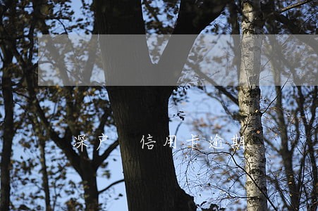 深户 信用卡逾期 深户 信用卡逾期